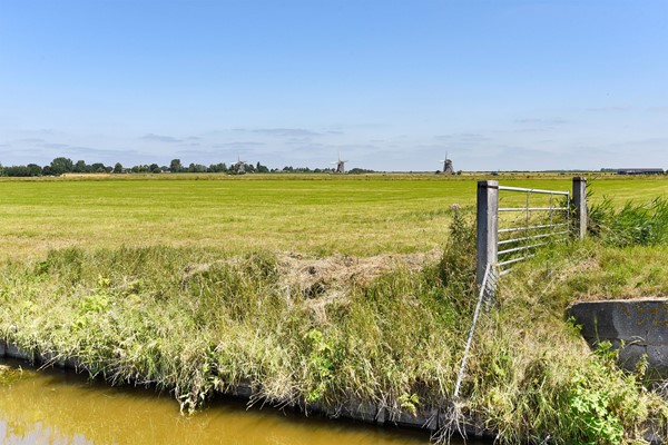 Medium property photo - Bekerstraat 12, 2492 WD The Hague